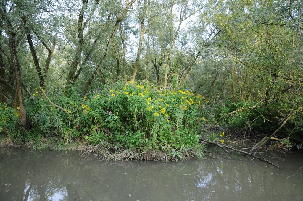 de Brabantse Biesbosch Hotel Werkendam Buitenkant foto