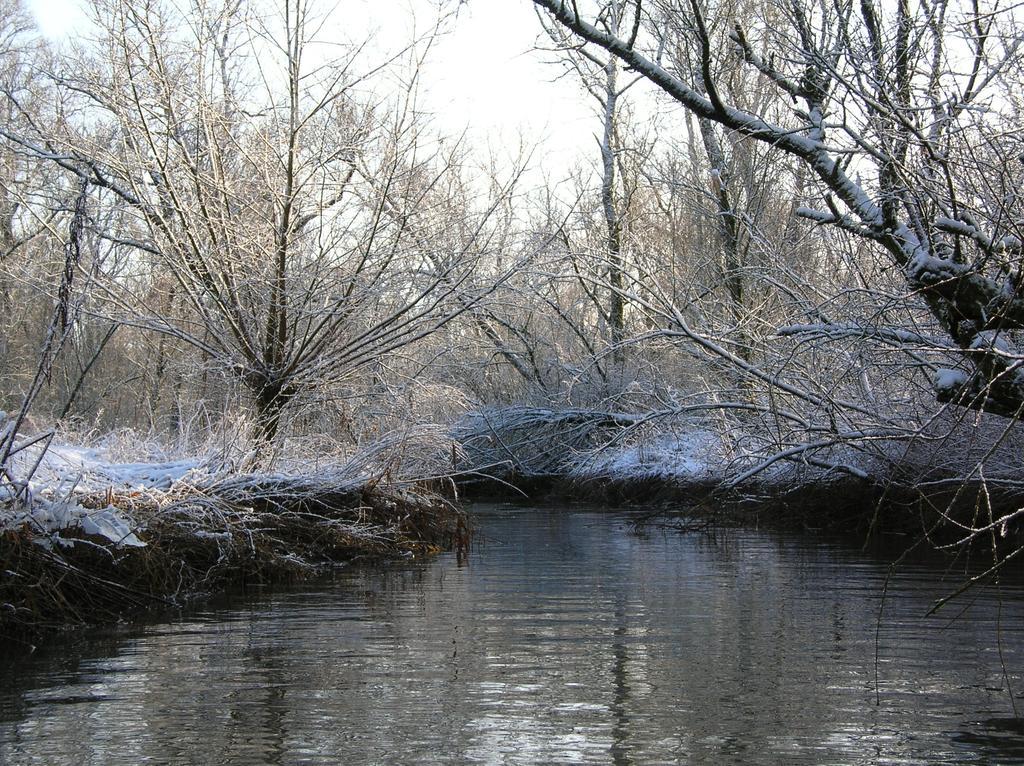 de Brabantse Biesbosch Hotel Werkendam Buitenkant foto