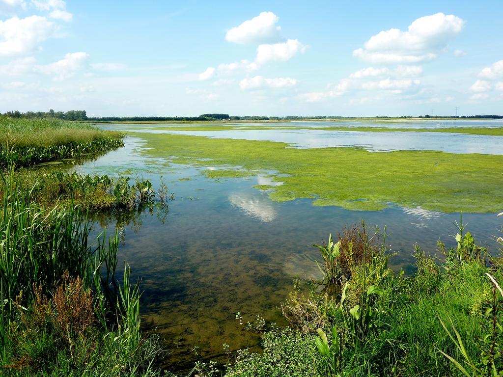 de Brabantse Biesbosch Hotel Werkendam Buitenkant foto