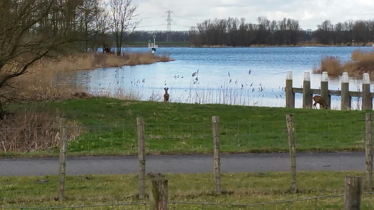 de Brabantse Biesbosch Hotel Werkendam Buitenkant foto