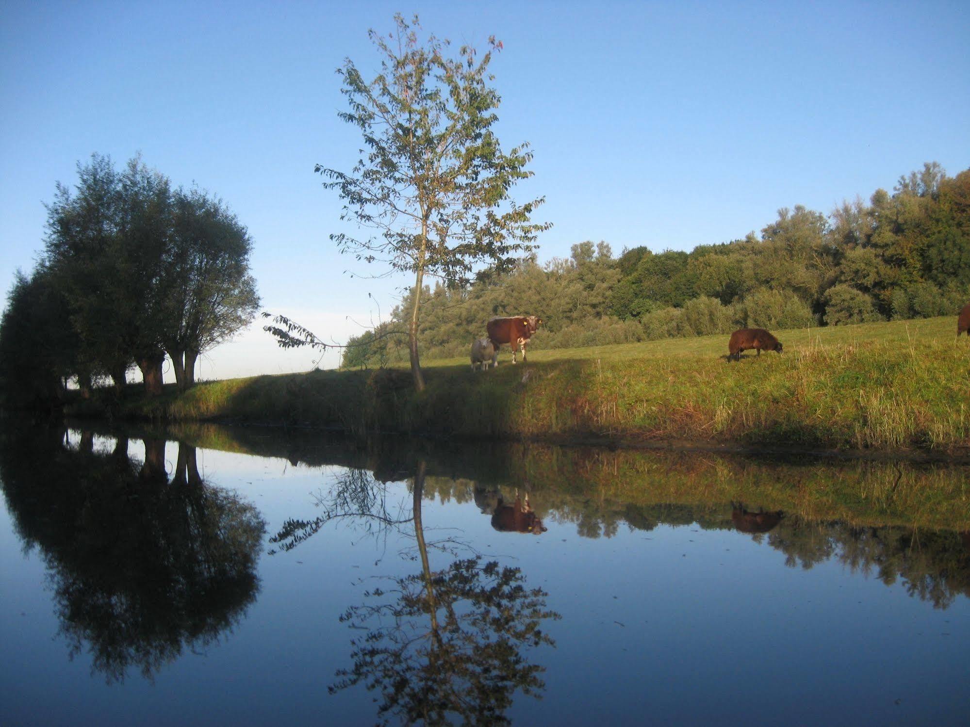 de Brabantse Biesbosch Hotel Werkendam Buitenkant foto