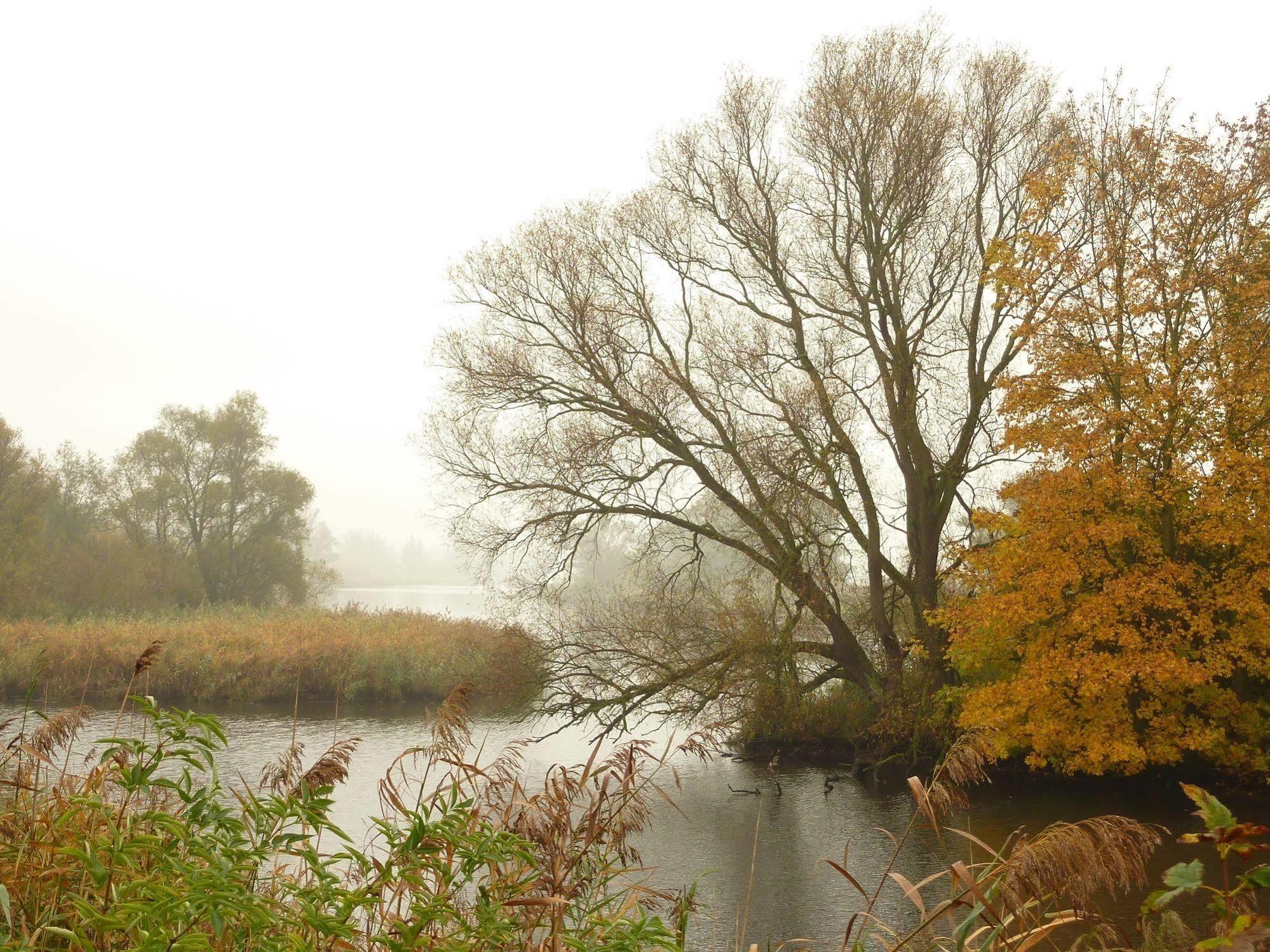 de Brabantse Biesbosch Hotel Werkendam Buitenkant foto