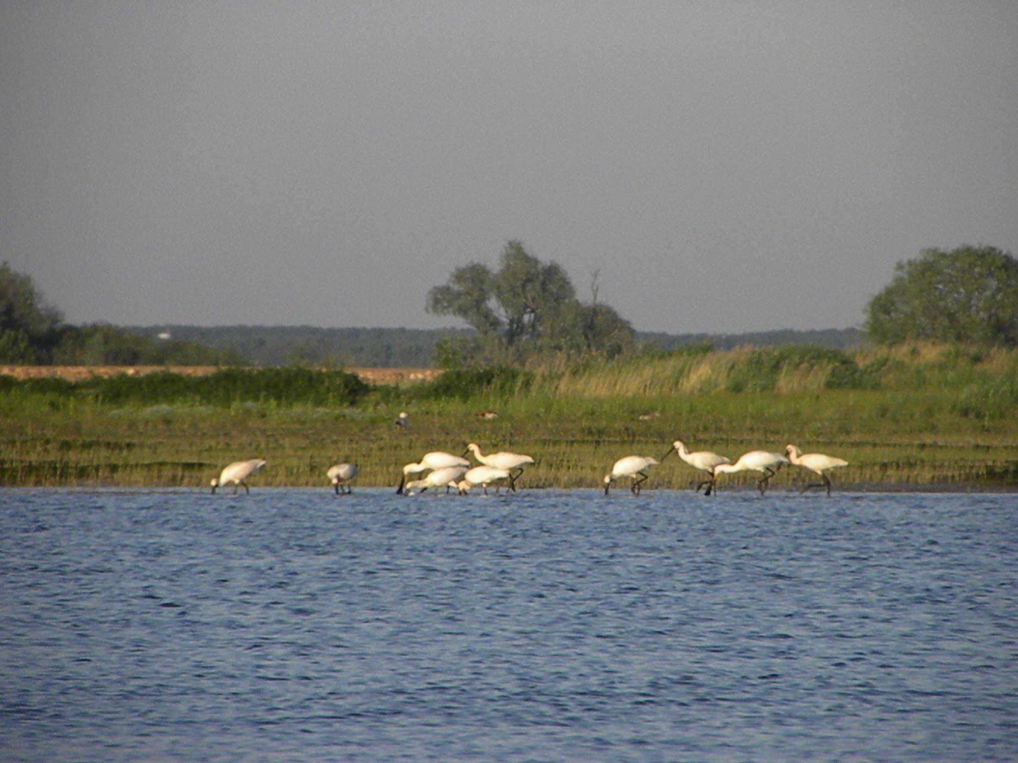 de Brabantse Biesbosch Hotel Werkendam Buitenkant foto