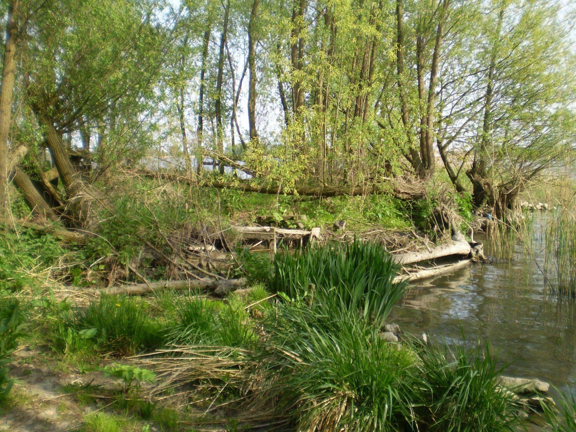 de Brabantse Biesbosch Hotel Werkendam Buitenkant foto